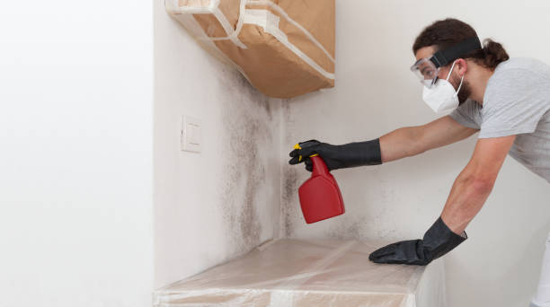 Professional Bathroom Mold Removal technician working in Glen Rock, PA