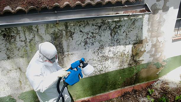 Trusted Bathroom Mold Removal service in Glen Rock, PA - Cheap Mold Removal